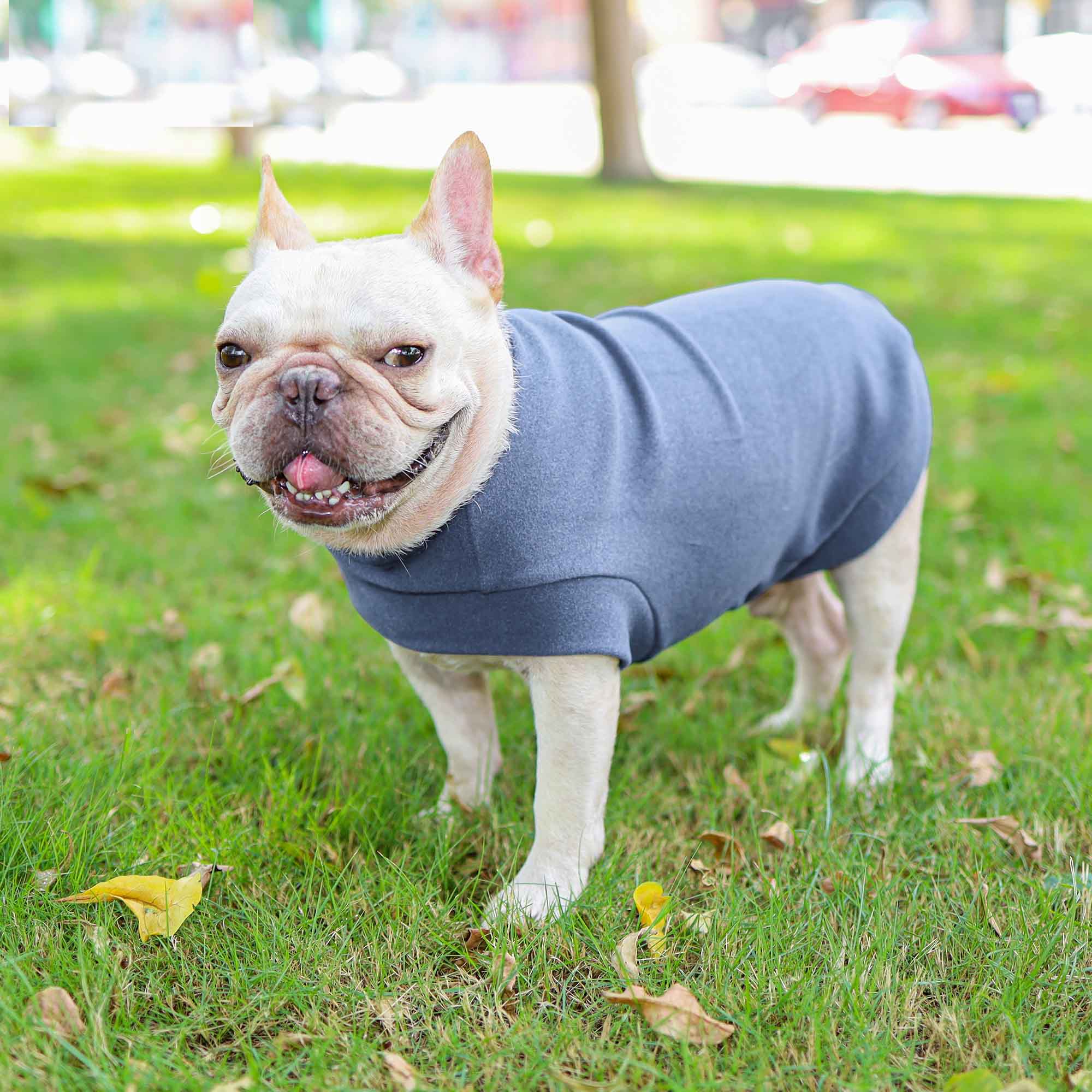 Breed-specific French Bulldog Fleece Spring Cloth Outdoor Use