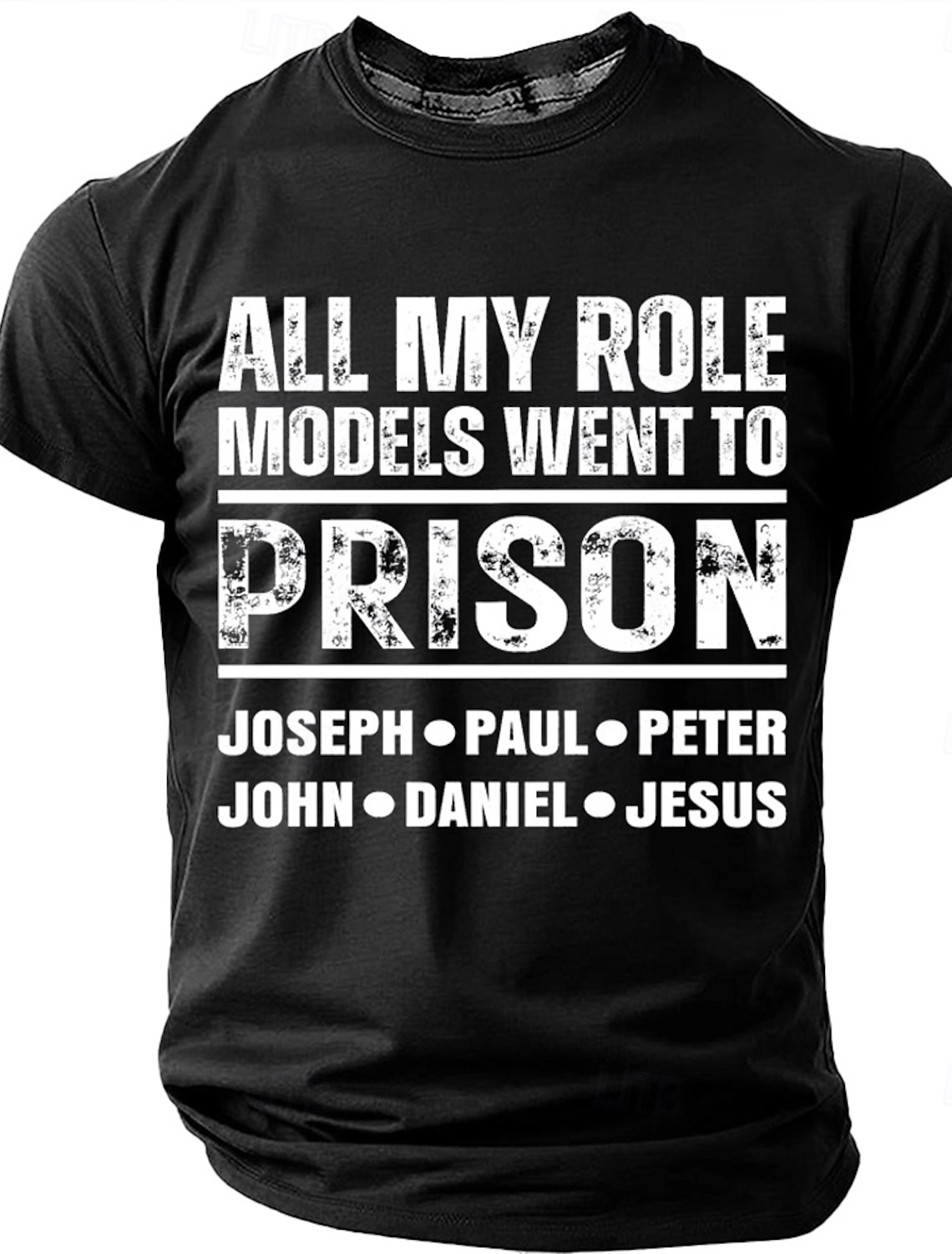 Men's All My Role Models Went To Prison T-Shirt, Funny Christian Bible Tee Gift for Dad