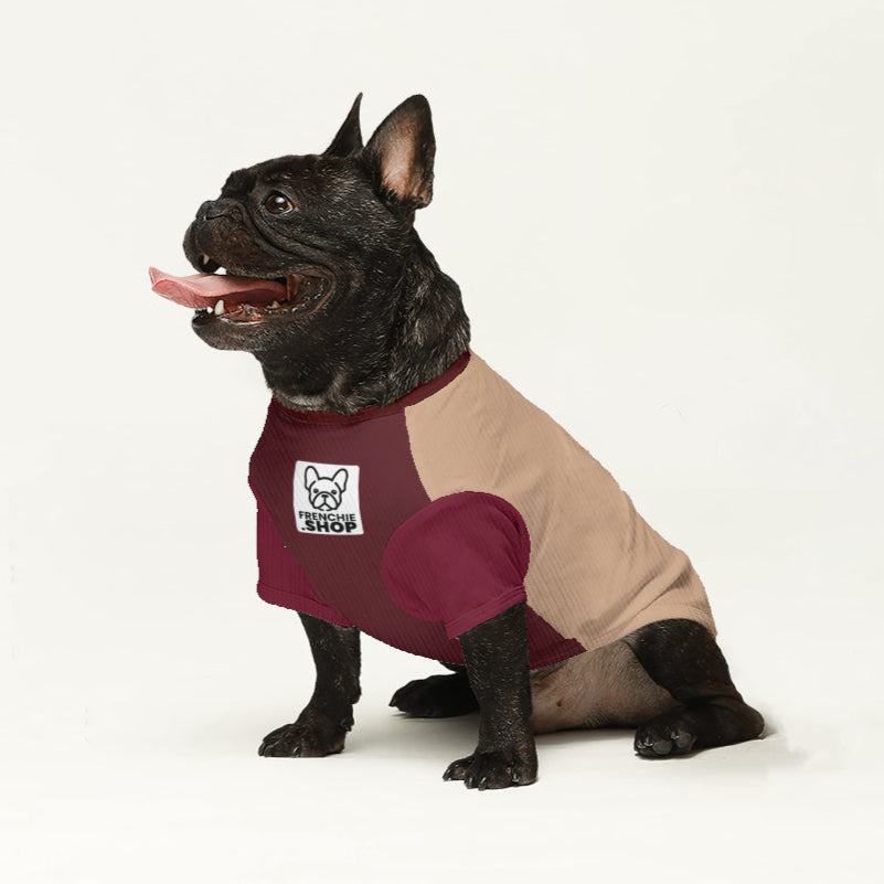 Trendy Premium Violet - Wool Sweater For Frenchies for Casual Outings