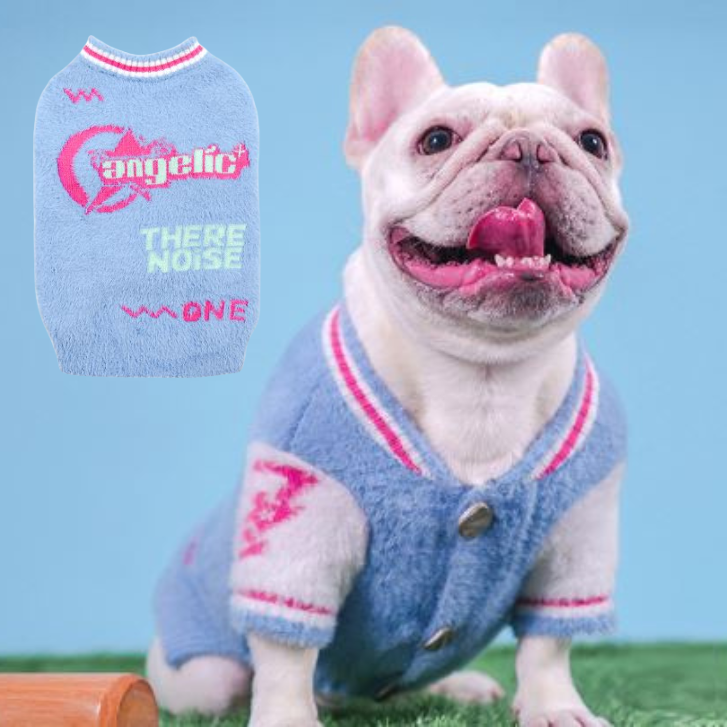 Stylish Sporty Frenchie Winter Sweater Blue And Pink Plush Varsity St...
