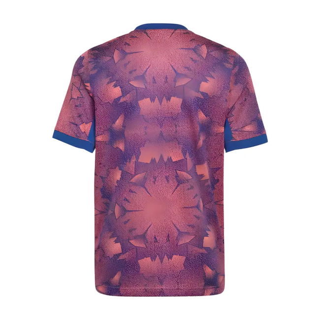 JUV 2025-2026 Third - durability elegant football football shirt