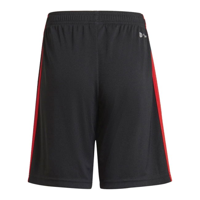 Bayern Munich Classic Third Jersey 2022-2023