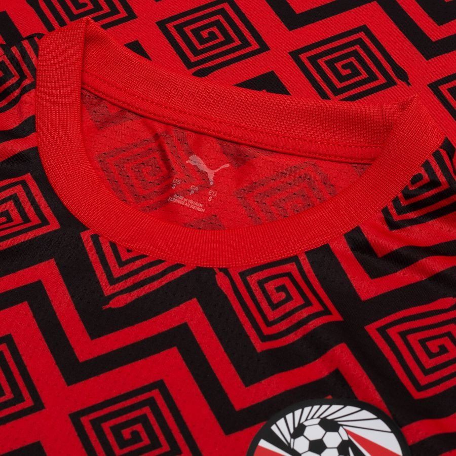 Egypt Training T Shirt Pre Match Africa Cup Of Nations 2025 Puma Red/p