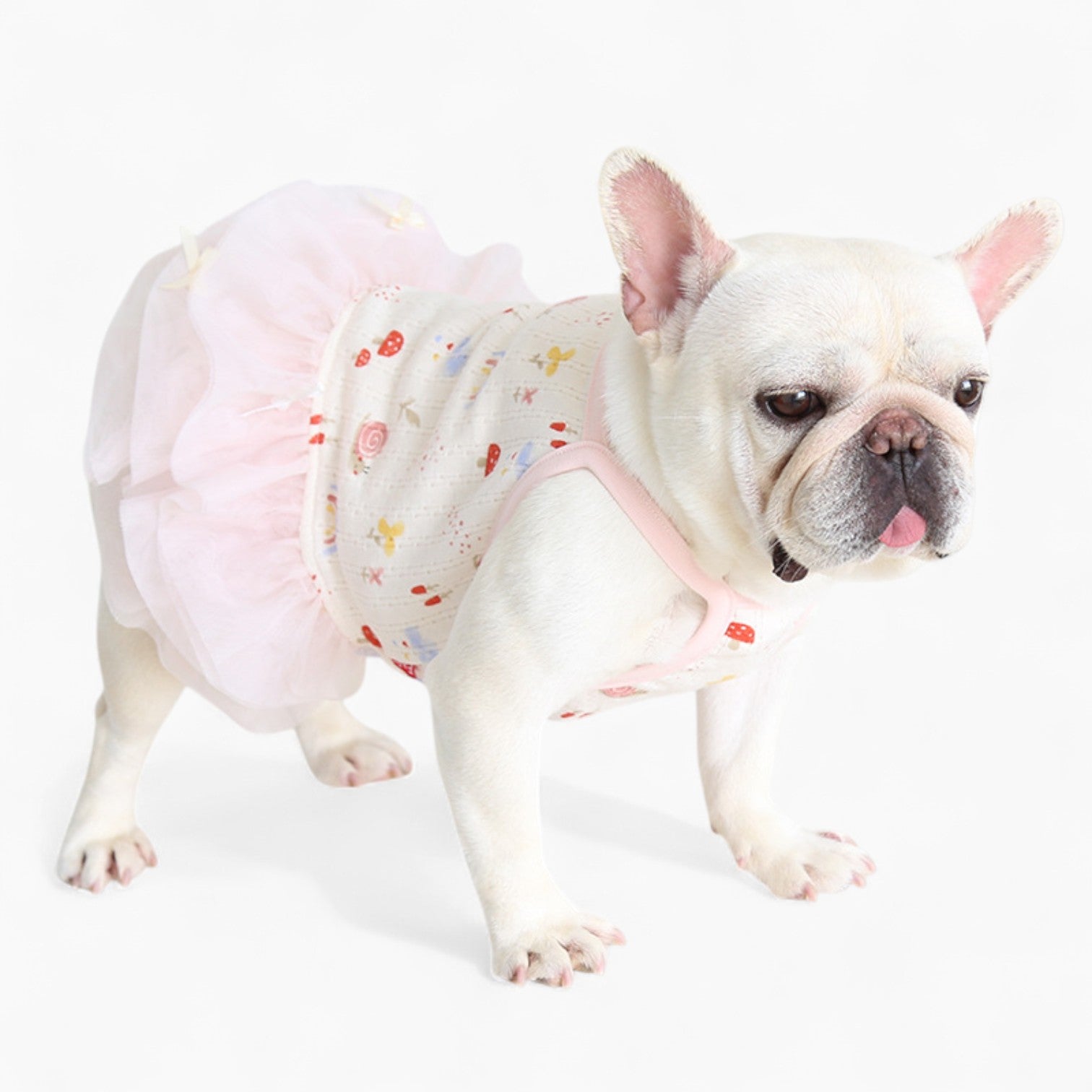 Dress – Soft Elegant Skirt Dog Outfit Indoor Use | Breed-optimized