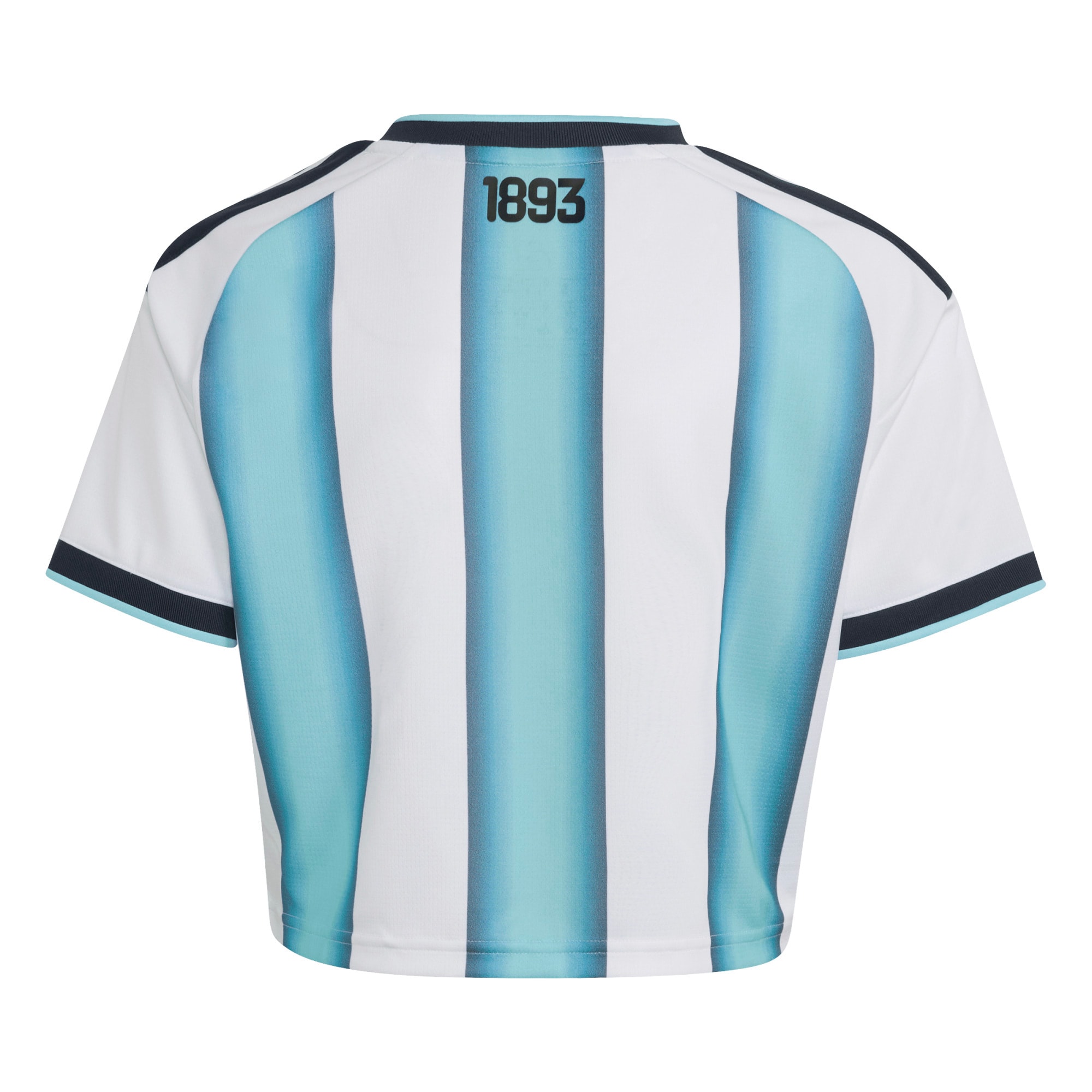 [SD] Argentina National Team Women's Home 2022 Winners Cropped Replica Jersey - White