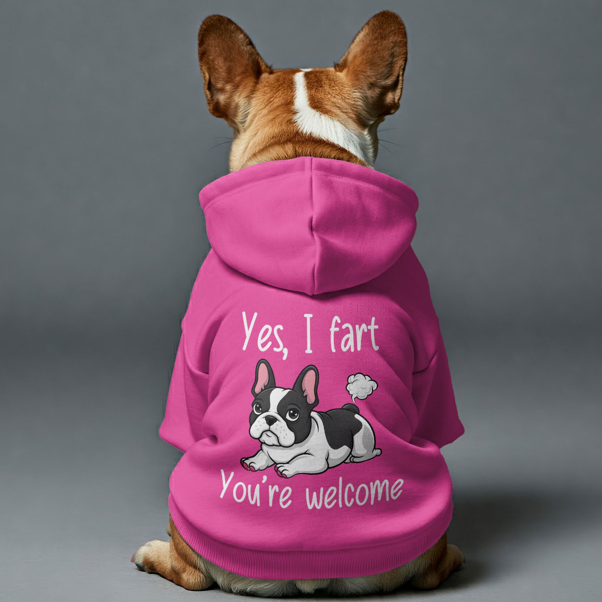 Yes, I Fart. You’re Welcome - Casual Personalized French Bulldog Hoodies With Funny Quotes – Stylish, Cozy, And Premium 100% Cotton For Dog Lovers