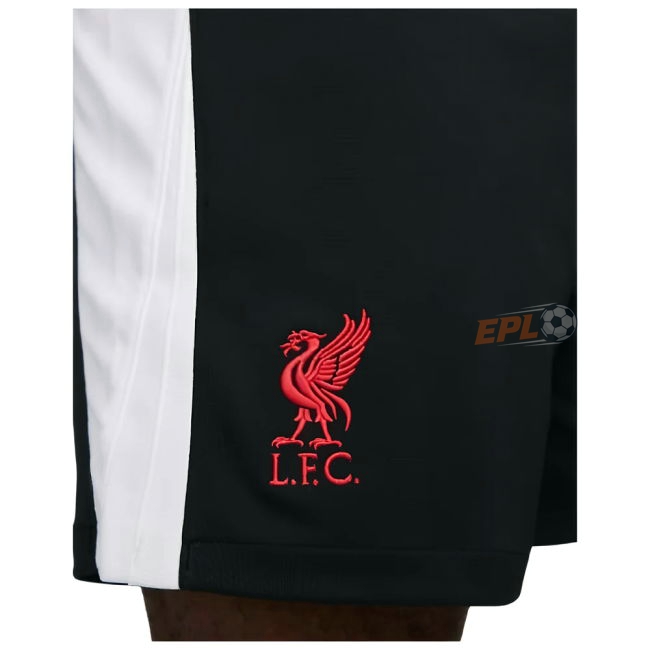 Liverpool 2024-20 value for money Third Soccer Jersey