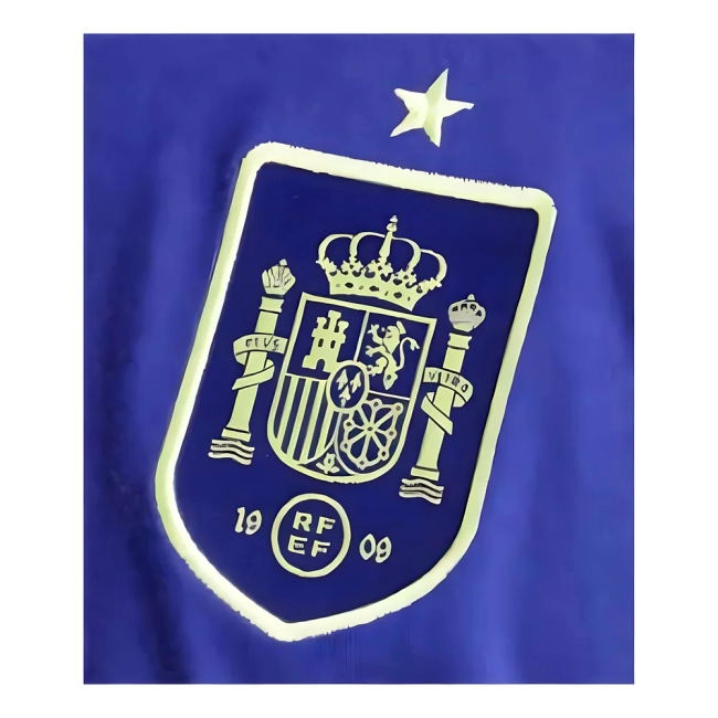 2024-2025 Spain Training Tee (Blue) (Cucurella 24)
