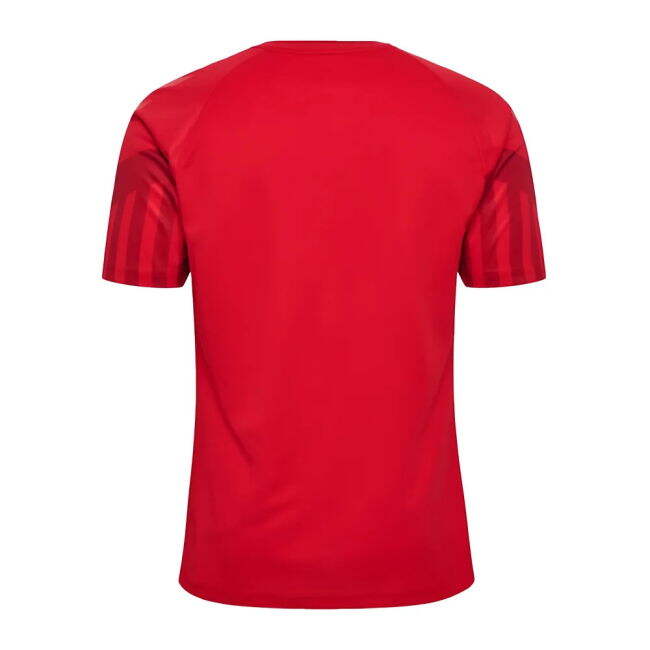 Mall Discounts 2022-2023 Denmark Home Jersey Fashionable