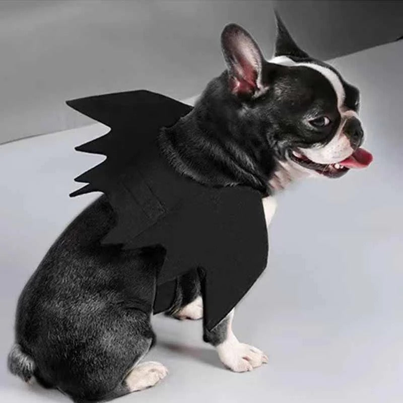 Frenchie Bat Wing Costume – Halloween Wings Dog Costume Dog Supplies