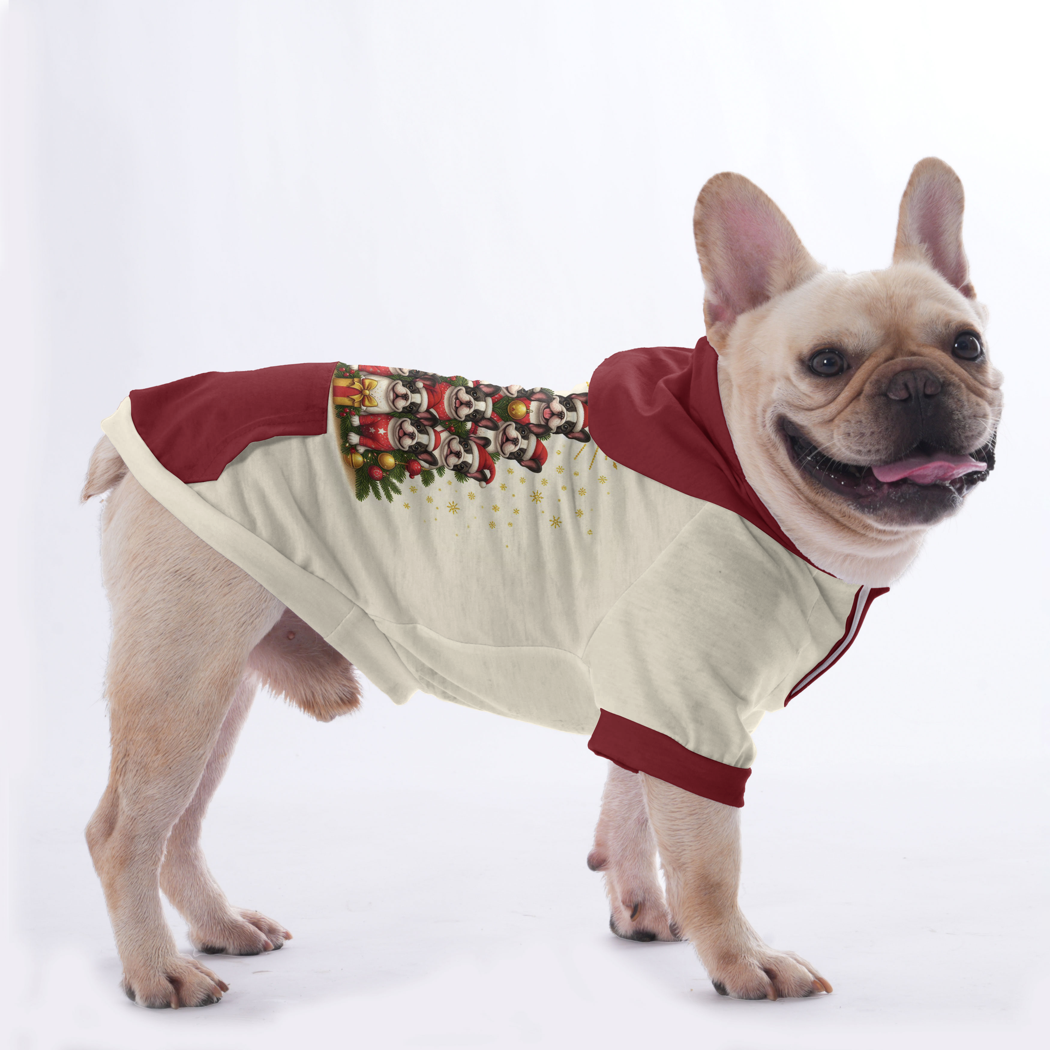 Cozy Sissy - Hoodies For French Bulldog | Frenchie Shop Original for ...
