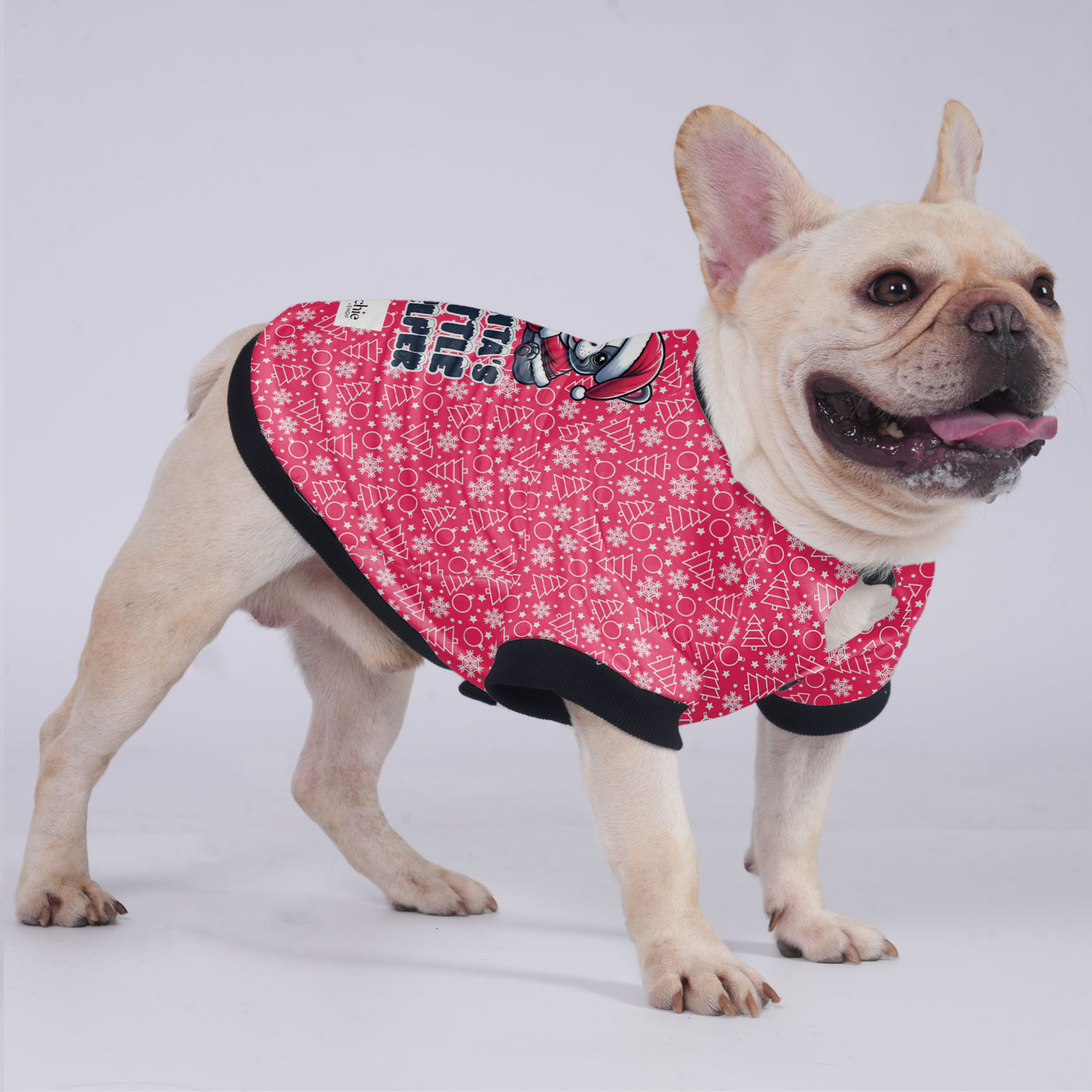 Little Helper - Durable Jacket For French Bulldog For Frenchie Pups