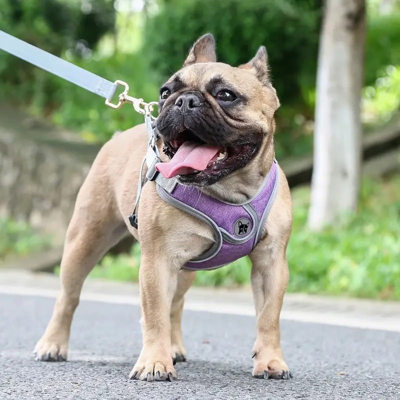 French Bulldog Snugwalk Frenchie Adjustable Harness Leash Set –