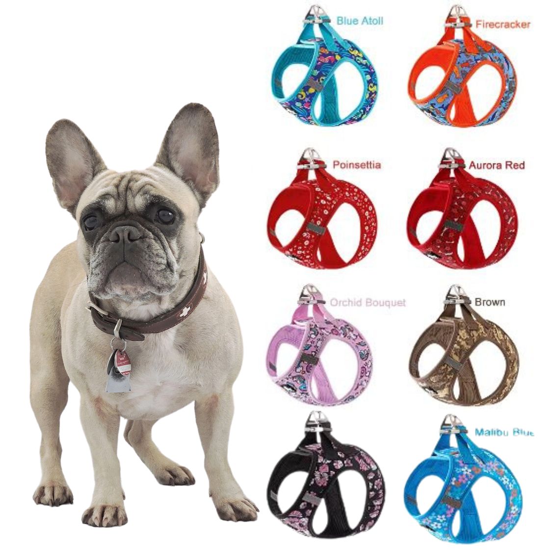 Weather-Resistant Bloompup Frenchie Floral Harness With Reflective St...
