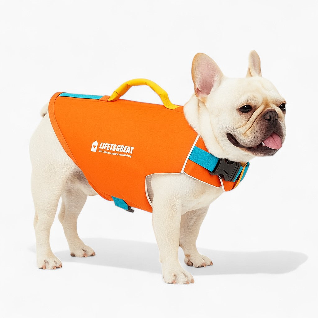 Street-Ready Swimzy Adjustable Frenchie Life Jacket – Secure Float Ve...