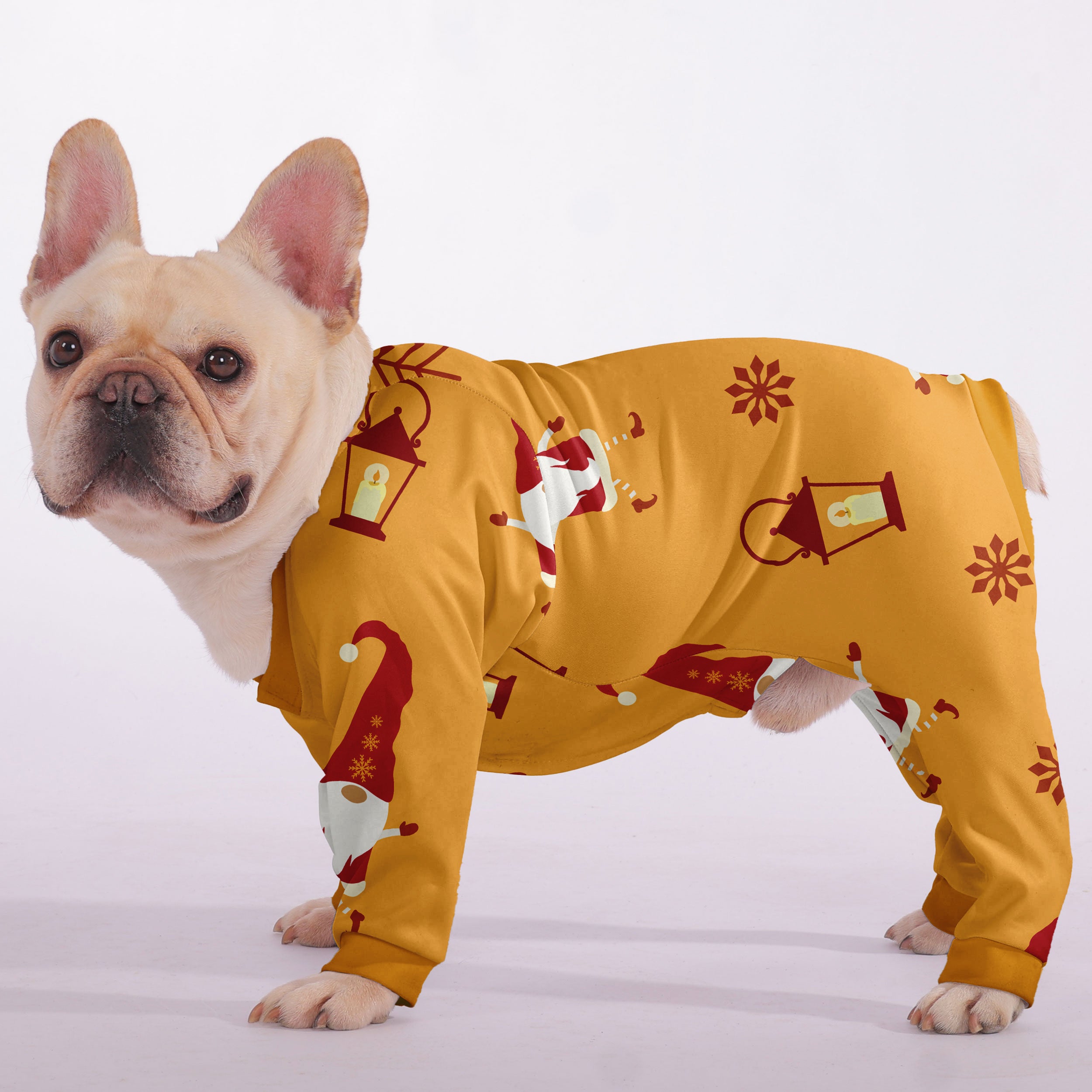 Vet-recommended Pebble - Premium Frenchie Pajama Pet Gear