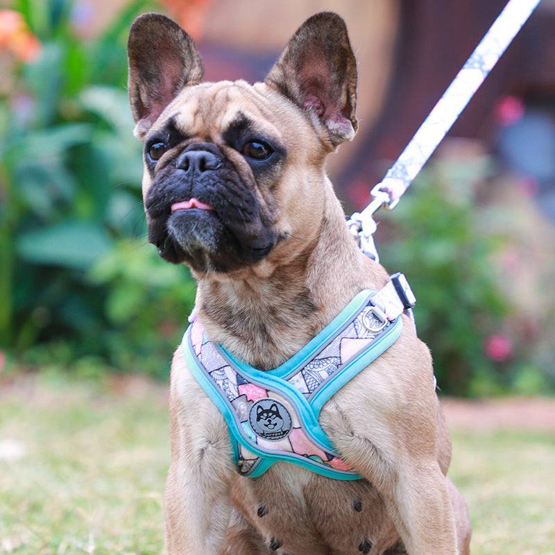 LucentLead Frenchie Adjustable Harness and Leash Set