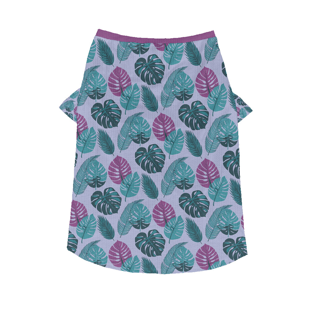 Cozy Everyday Aggy - Wool Sweater For Frenchies as a Gift