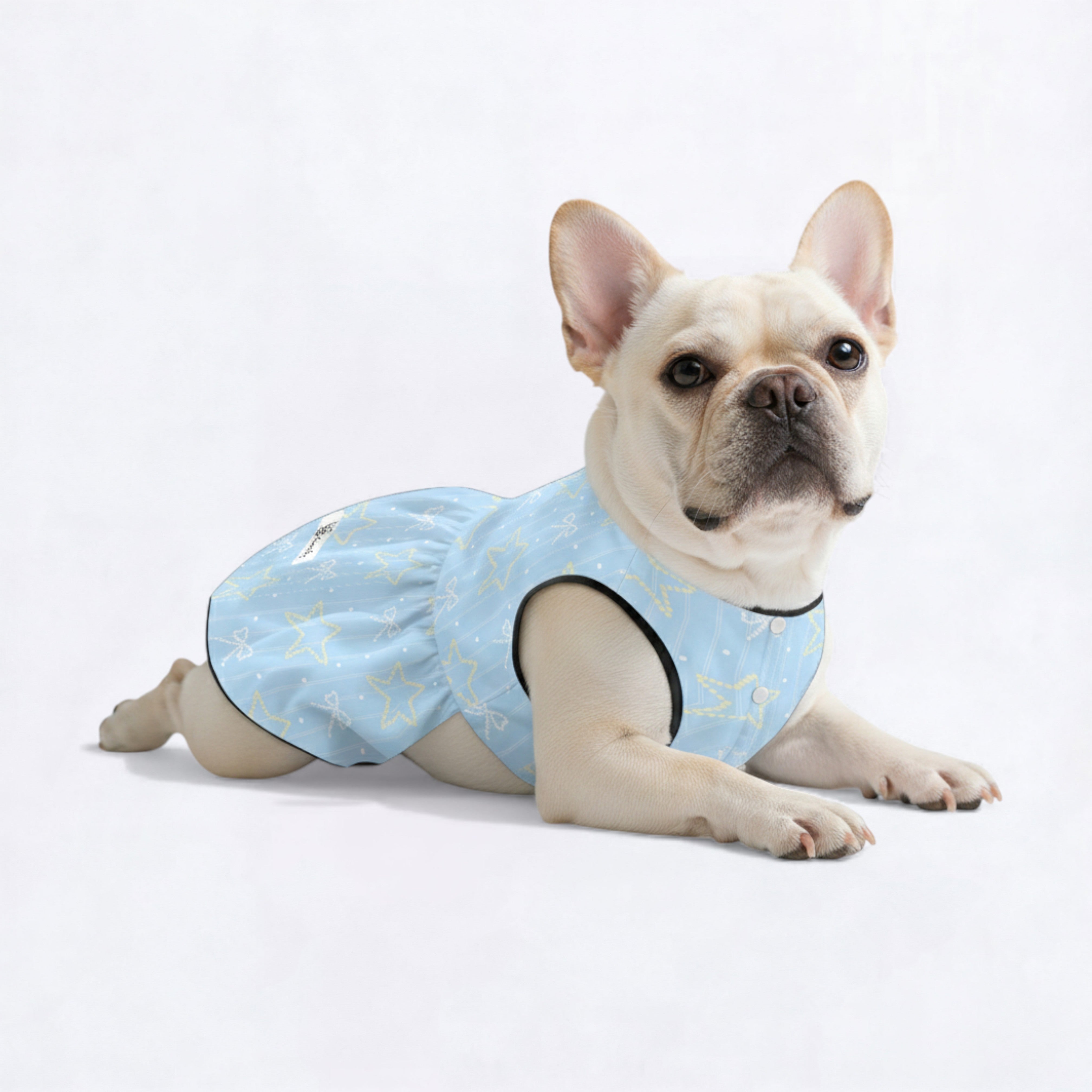 French Bulldog Dresses For Females For French Bulldogs | Vet-recommended