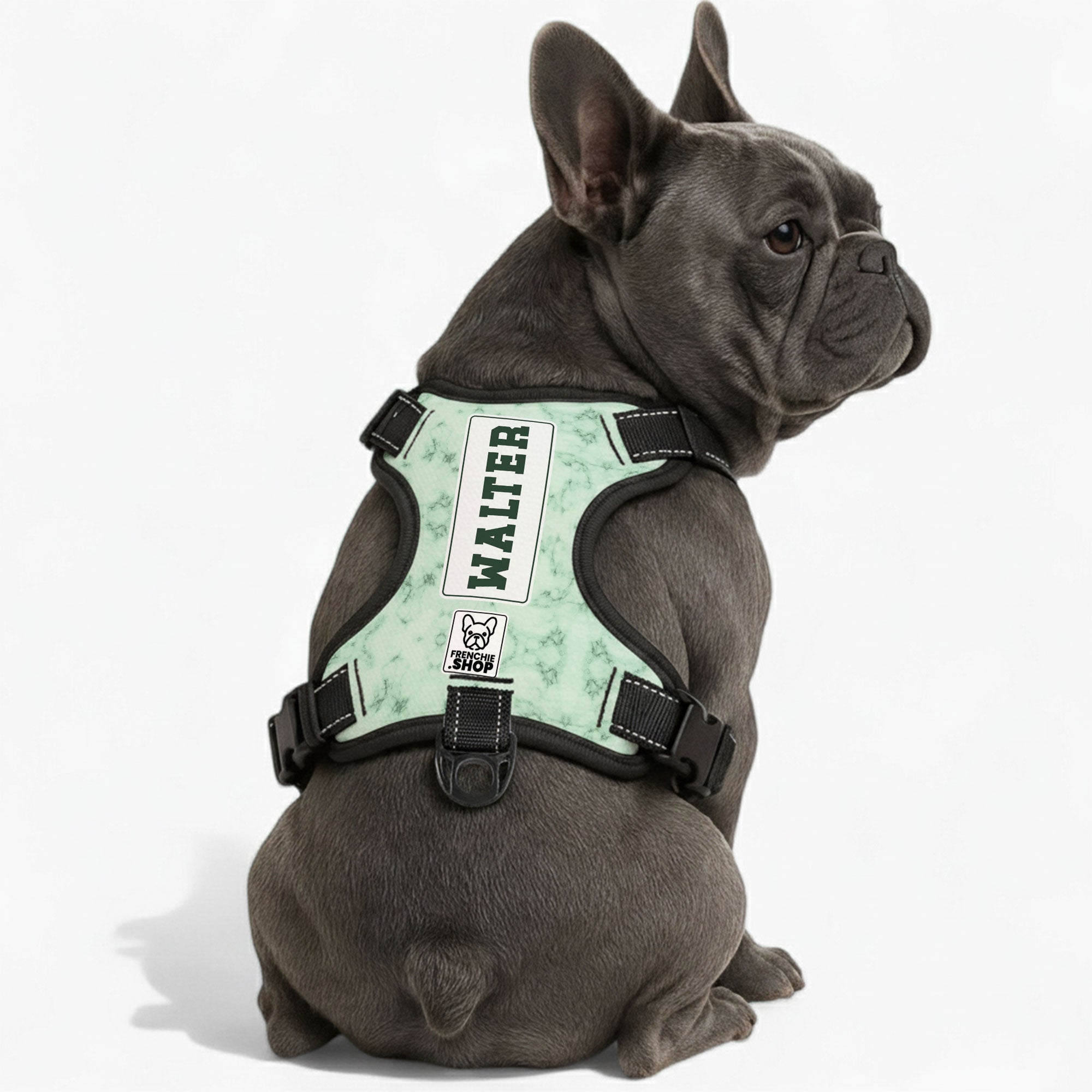 French Bulldog Willow Personalized No Pull French Bulldog Dog Harness Practical Dog Gear