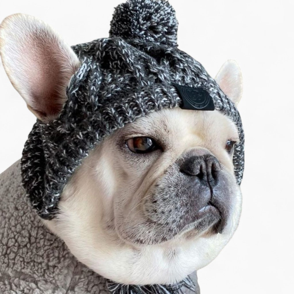 Frenchie-Fan Windproof Woolen Winter Cap For French Bulldog (ws312) f...