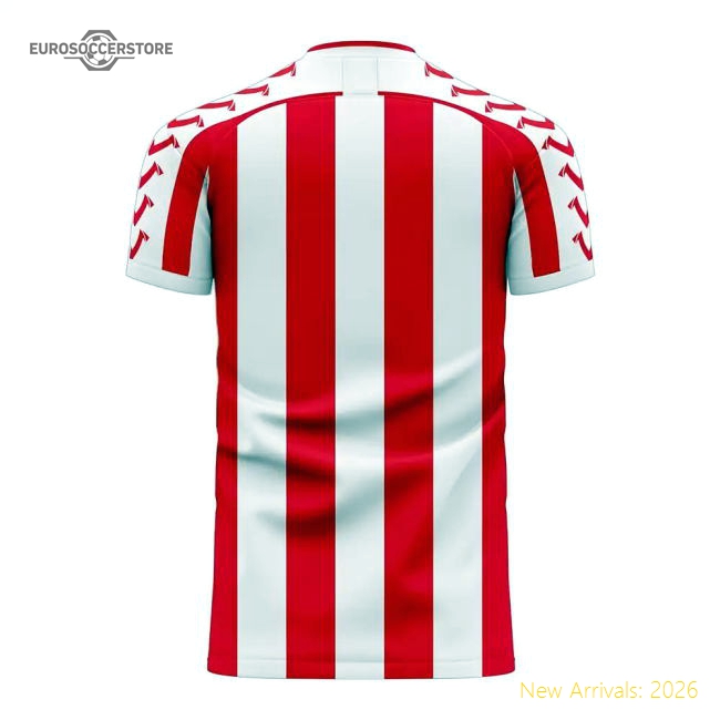 Premium Stoke 2025-2026 Home Concept Football Kit (viper) - Premium