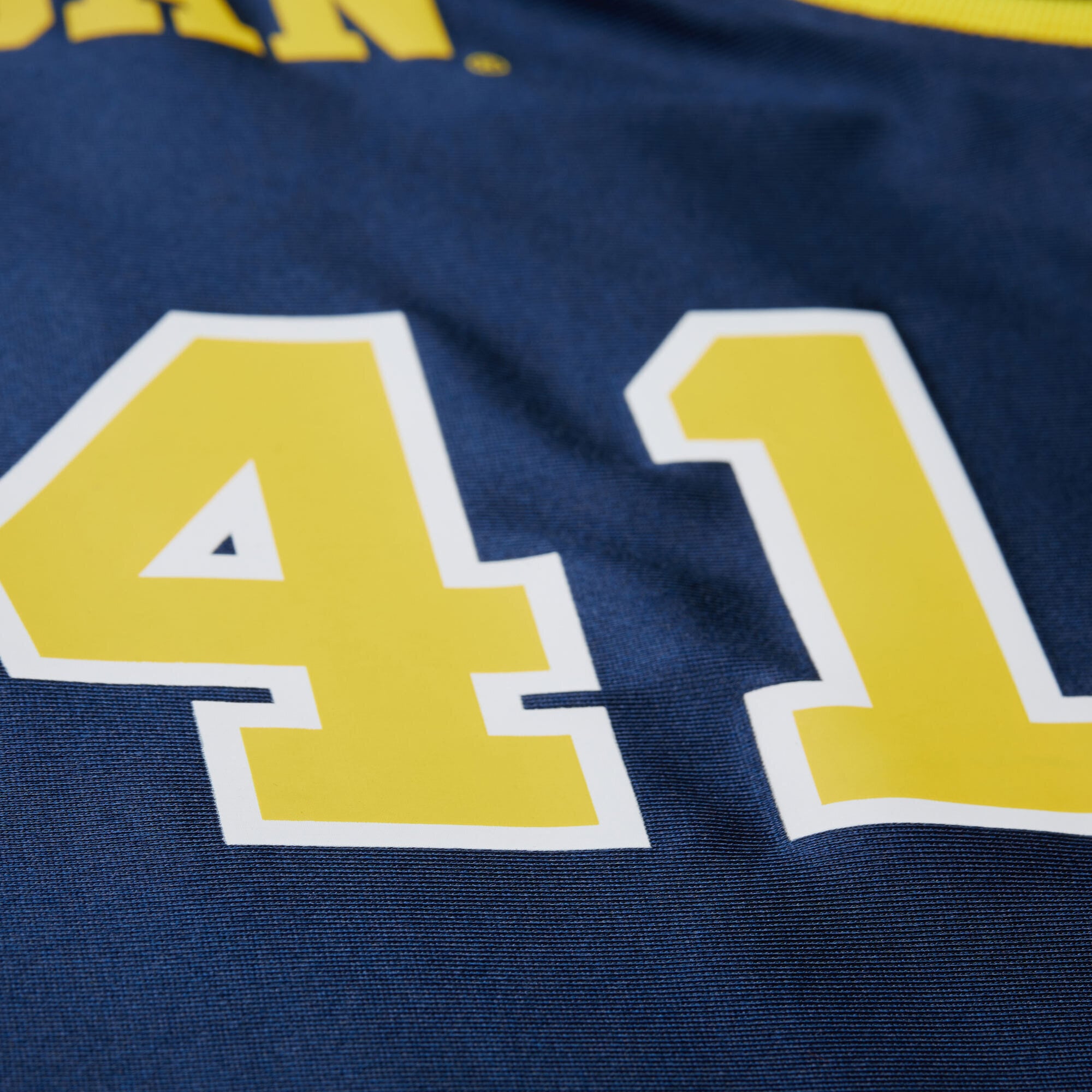 Glen Rice Michigan Wolverines Mitchell & Ness 1988/89 Jersey - Navy