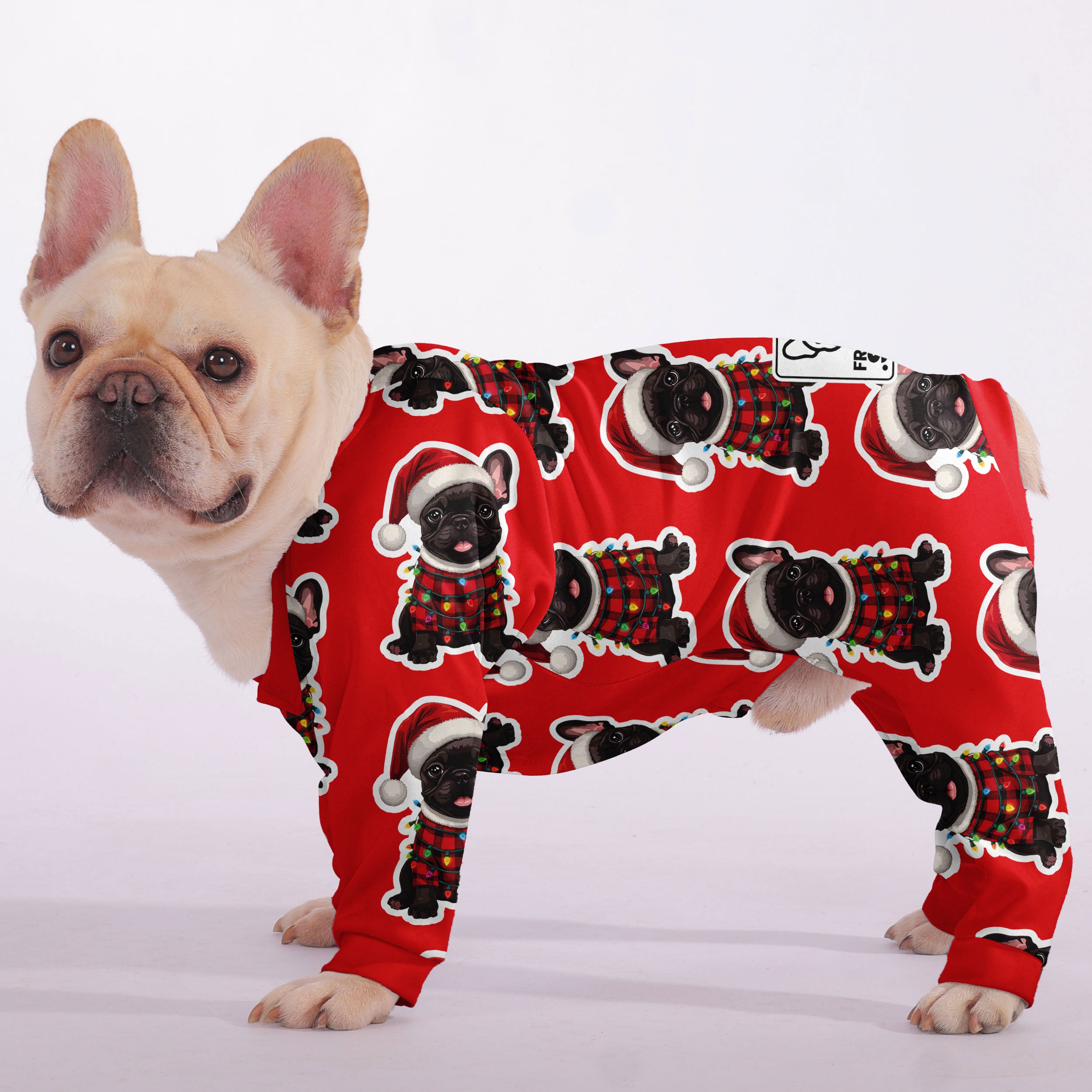 Olive - Frenchie Pajamas