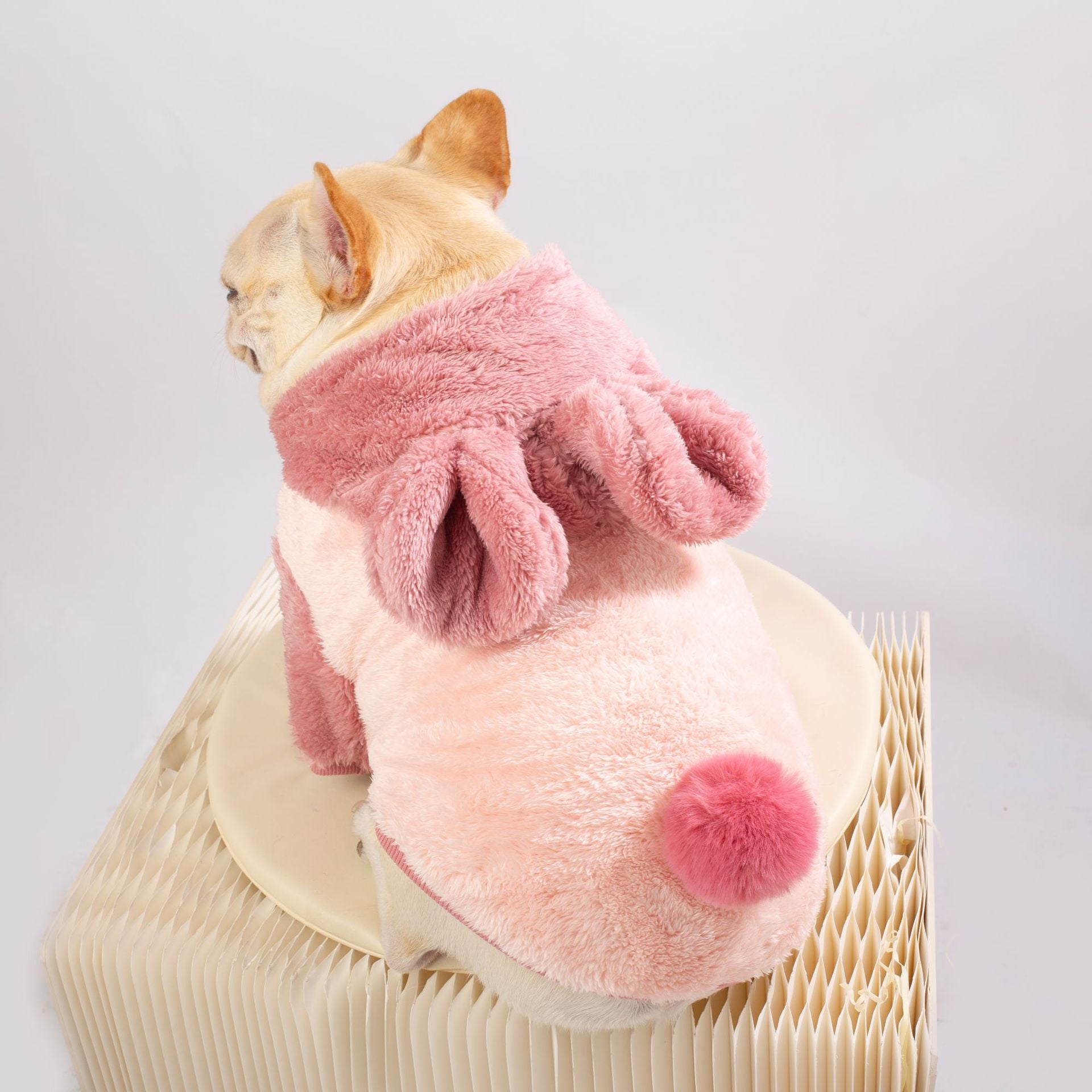 Frenchie Warm Pet Sweater – Plush Thick Coat for Small Bulldogs