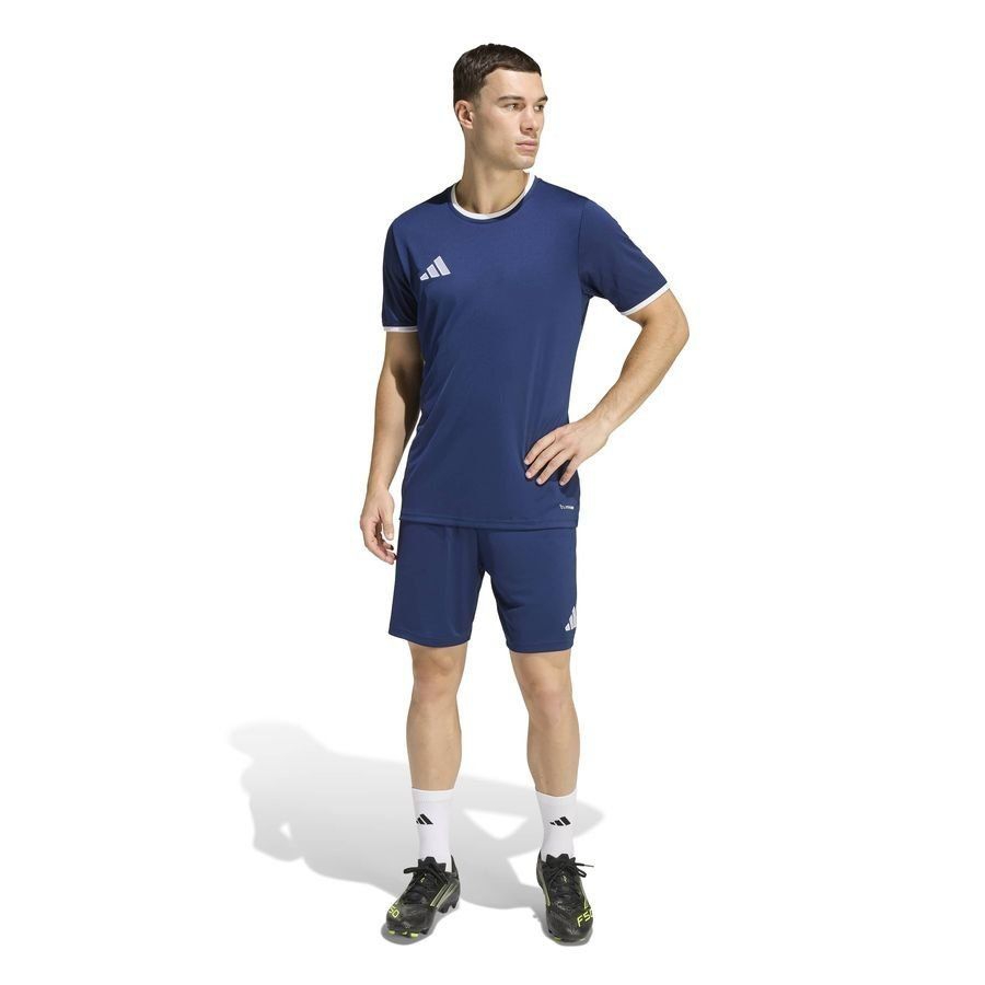Strømsgodset Toppfotball adidas Treningsshorts Entrada 26 - Team Navy/White
