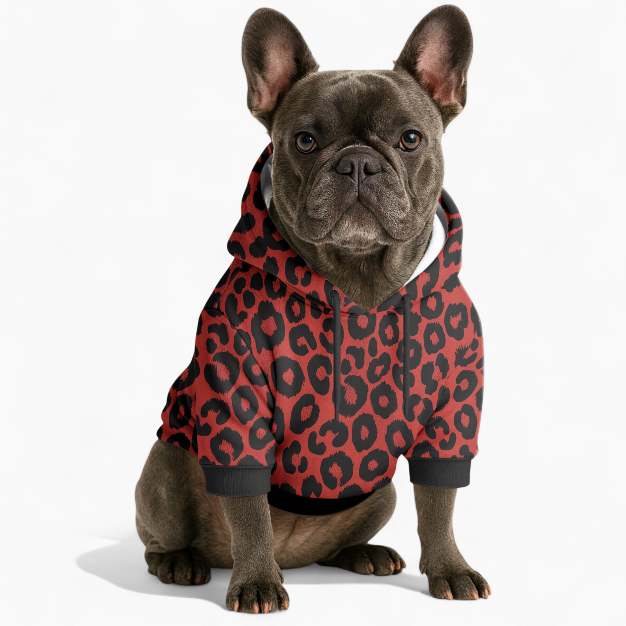 Maxima - Frenchie hoodie