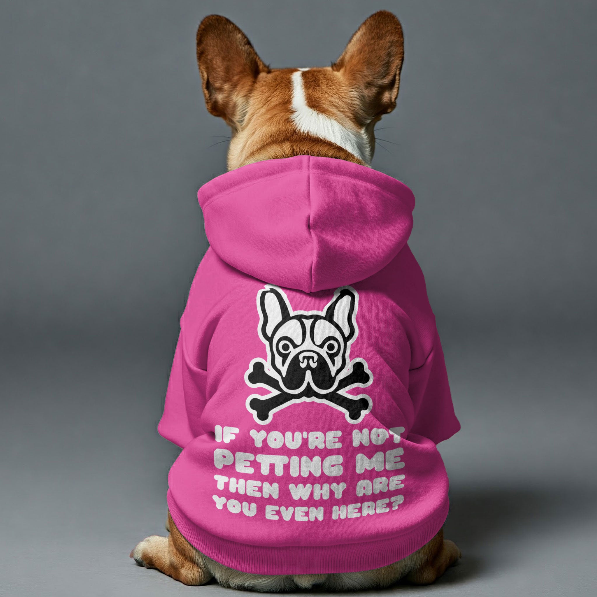 IF YOU'RE NOT PETTING ME ,THEN WHY ARE YOU EVEN HERE? - Personalized French Bulldog Hoodies with Funny Quotes – Stylish, Cozy, and Premium 100% Cotton