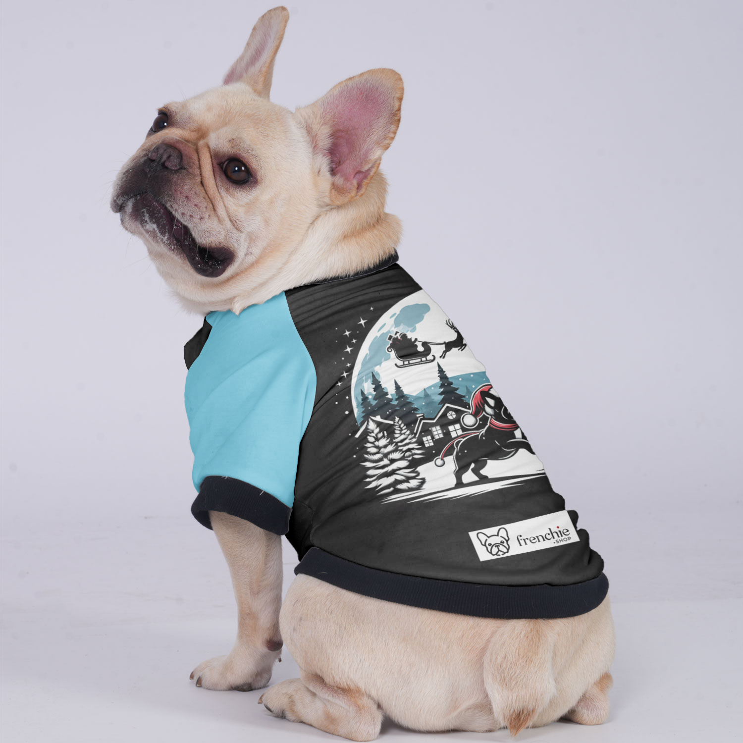 Cozy Premium Abby - Jacket For French Bulldog for Casual Outings