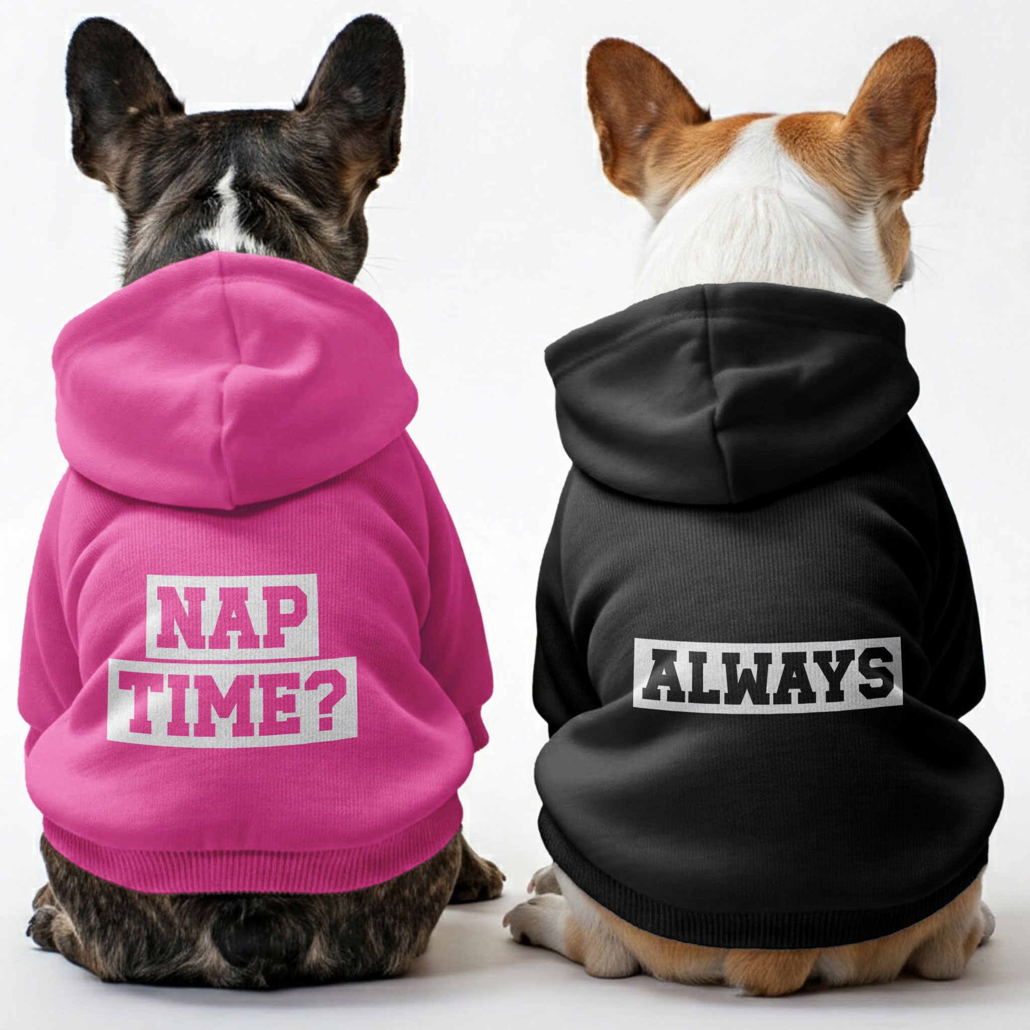 NAP TIME ? and ALWAYS - Matching French Bulldog Hoodies – Stylish, Cozy & Personalized!