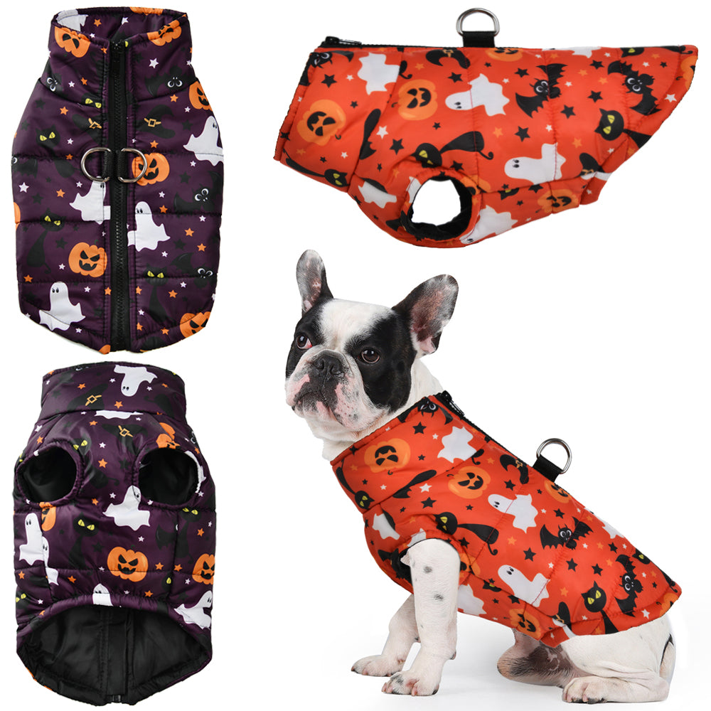 Winter Jacket With Pumpkin Print Cozy And Festive For French Bulldogs