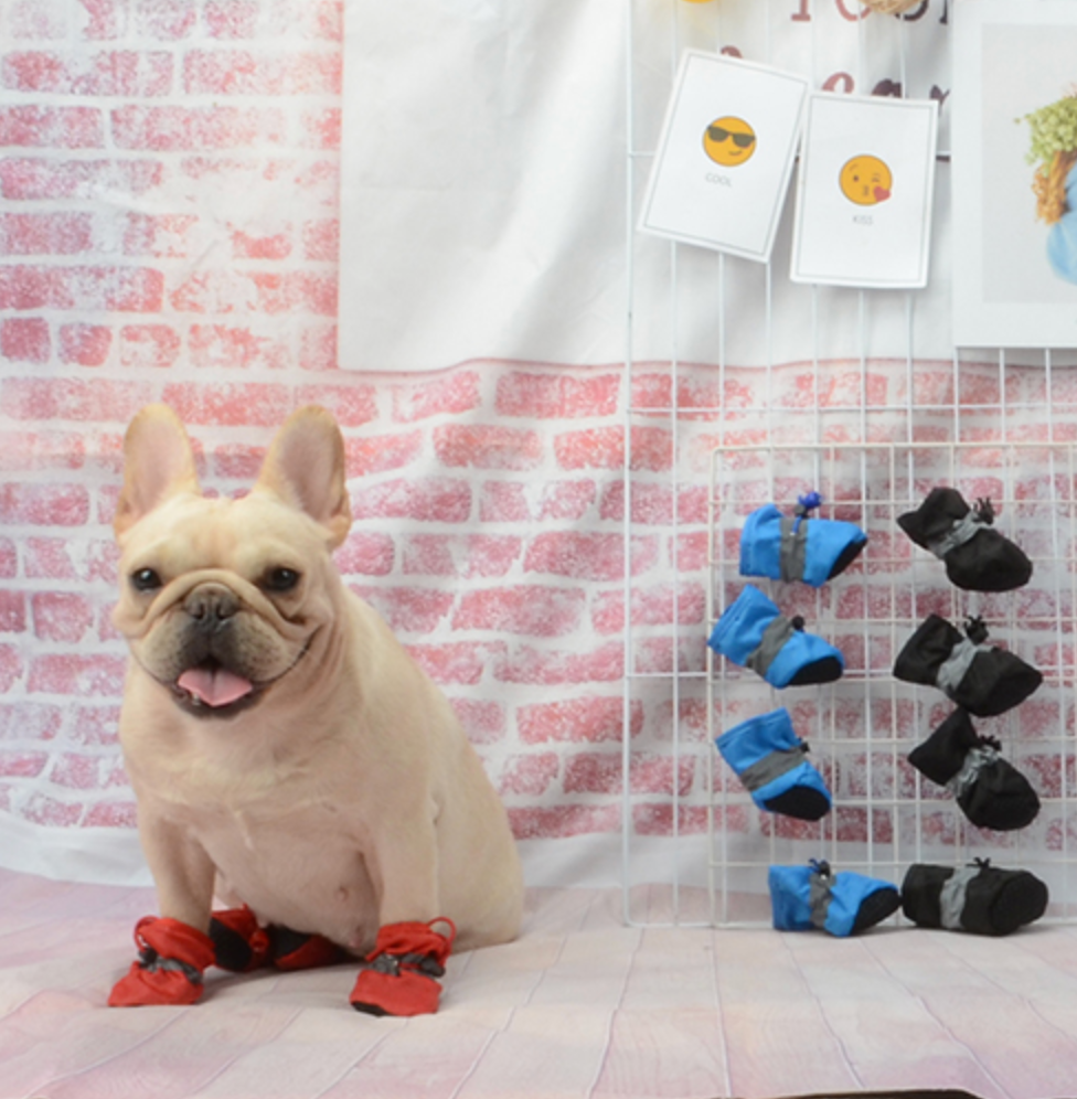 Warm - Bulldog Boots For Frenchies (ws029) Outdoor Use | Safe For Paws