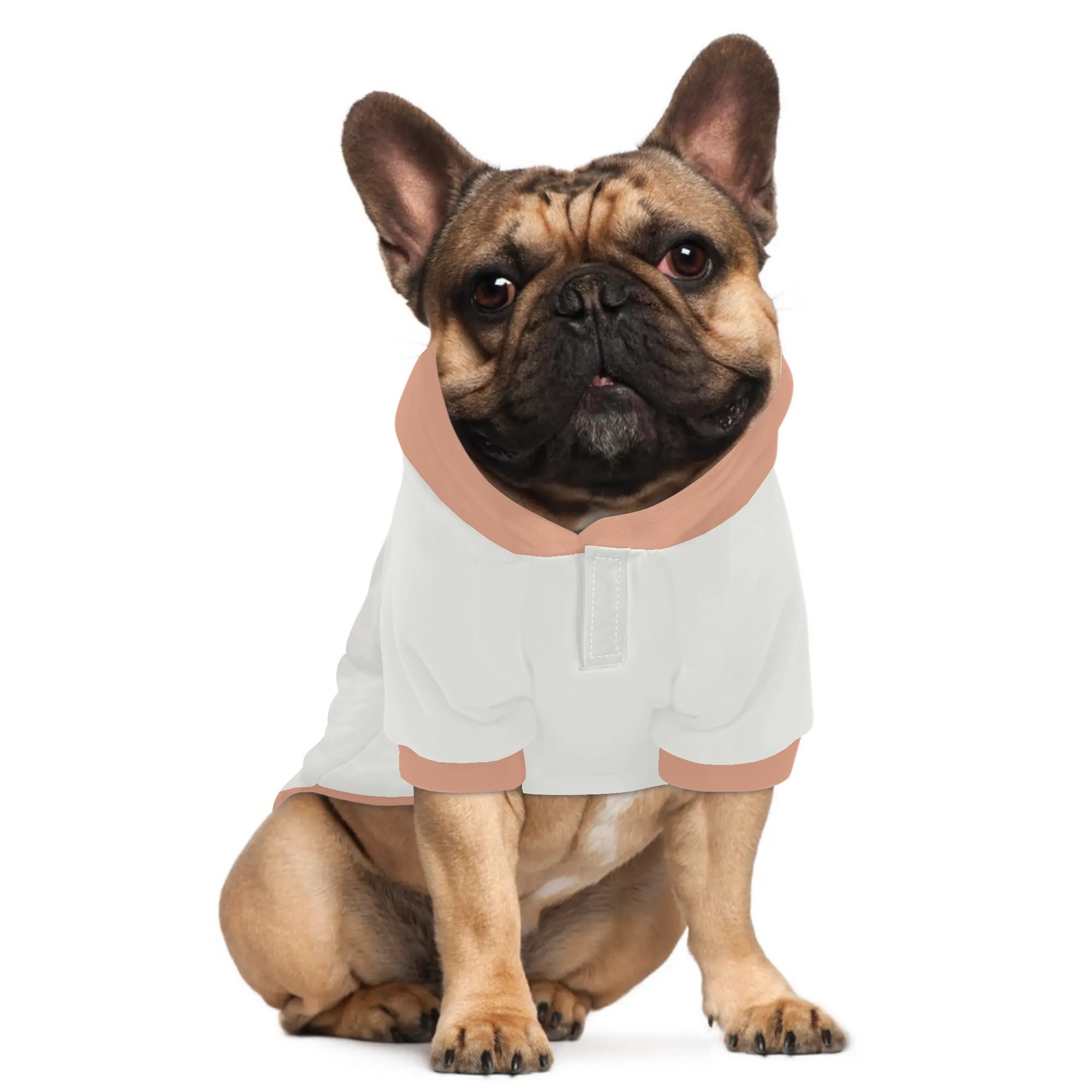 French Bulldog Dixie Hoodies For French Bulldog | Frenchie Shop