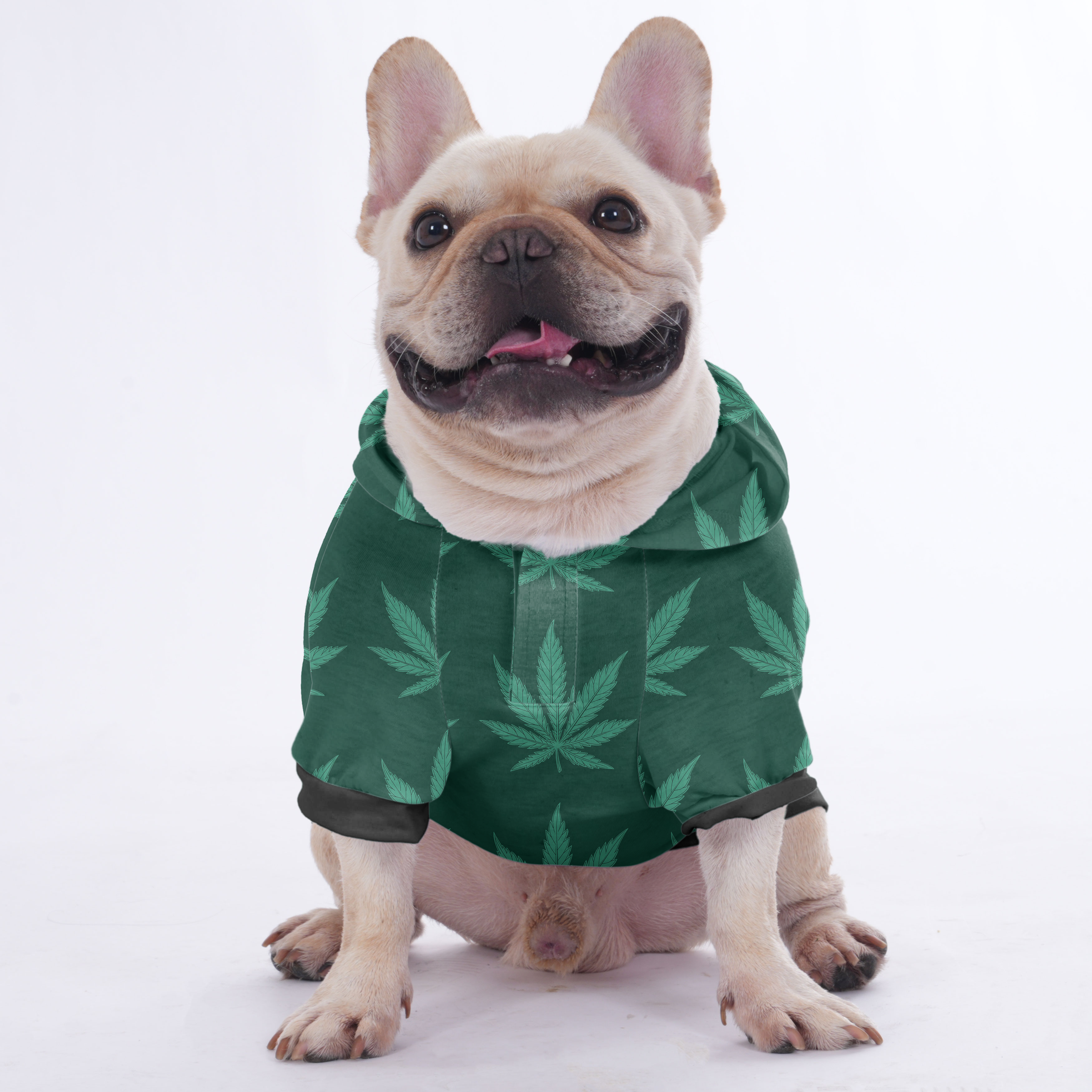 Toby - Hoodies for French Bulldog | Frenchie Shop Original