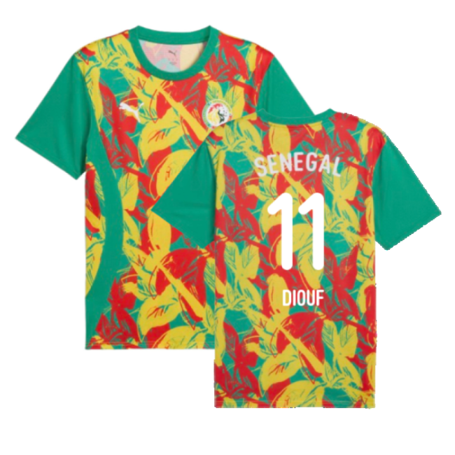 First-class 2024-2025 Teranga Lions Prematch Ss Jersey (green) (dio