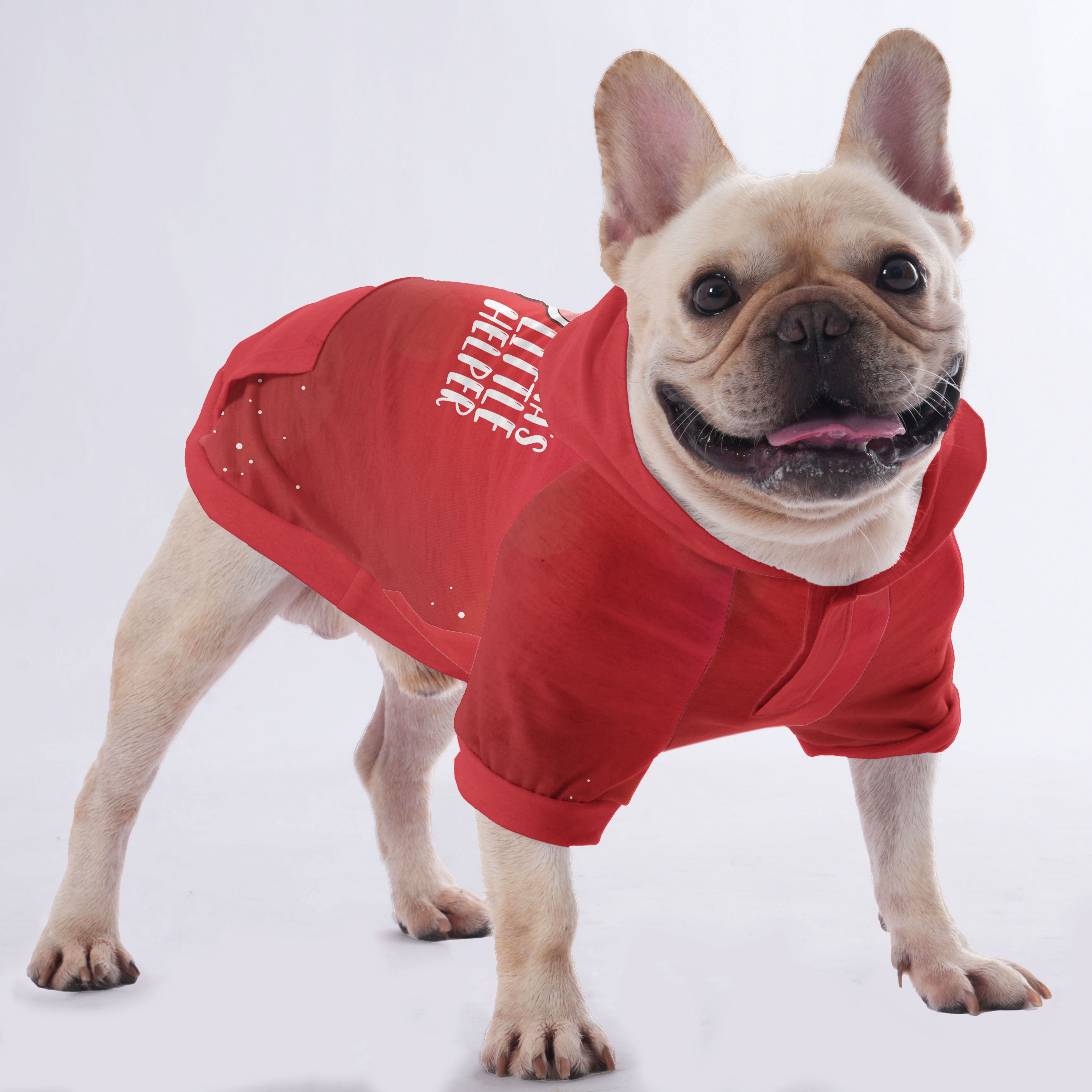 Blu - Hoodies for French Bulldog | Frenchie Shop Original