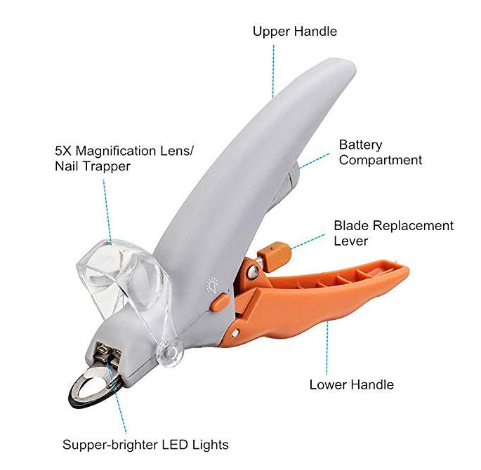 Vet-recommended Frenchie Nail Trimmer Summer Wear | Vet-recommended