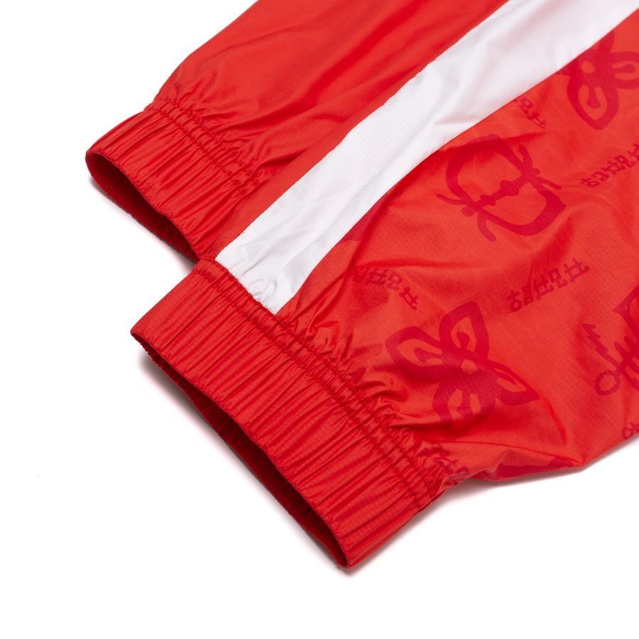 Ghana Training Trousers Pre Match Woven Africa Cup Of Nations 2025 Pum