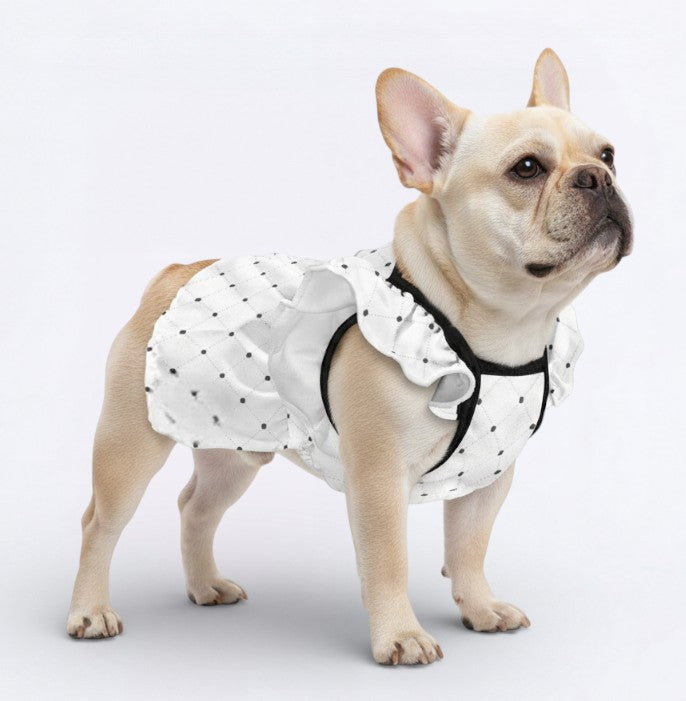 Biscuit - French Bulldog Dresses for Females