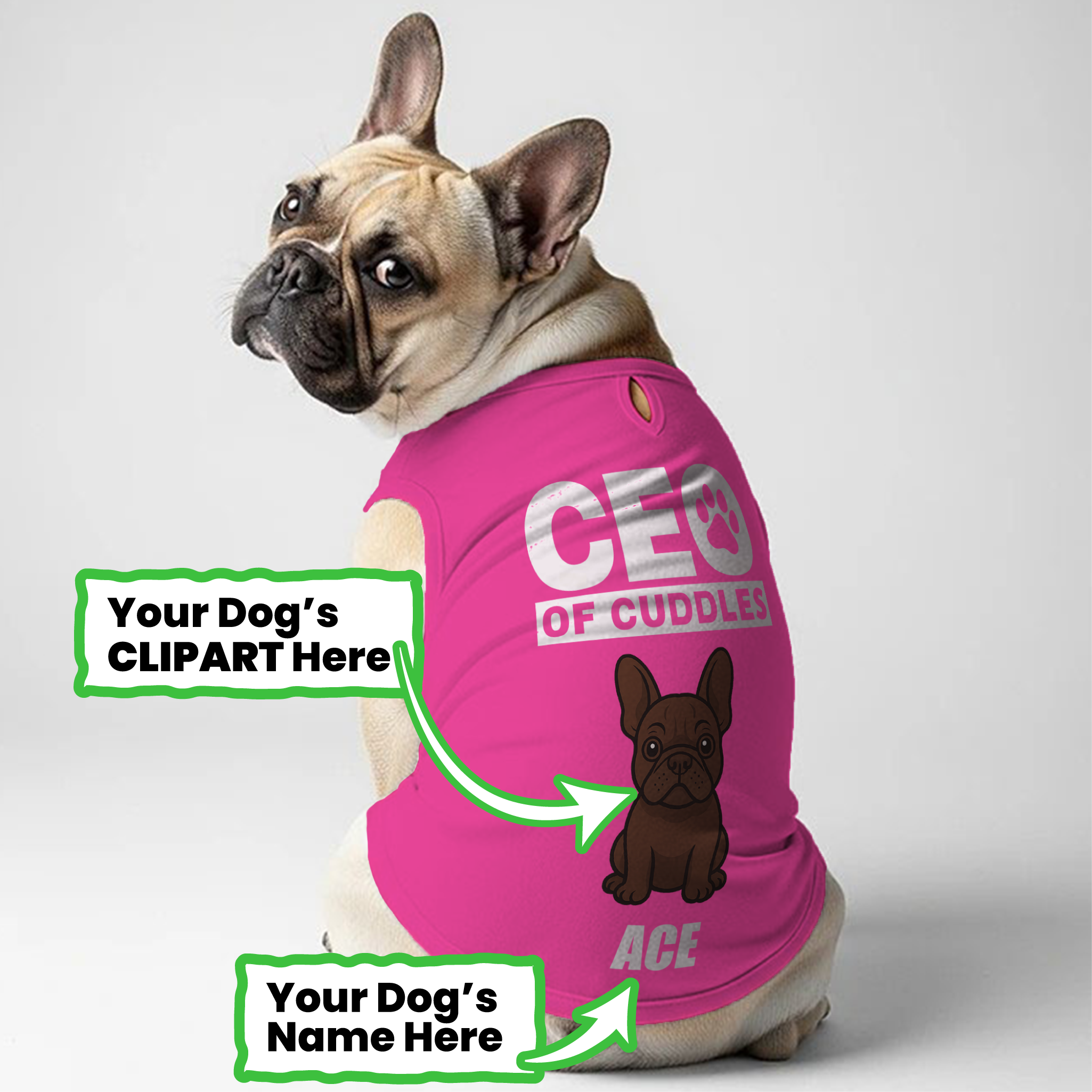 Street-Ready Ceo Of Cuddles - Personalized Frenchie Shirt | Custom Do...