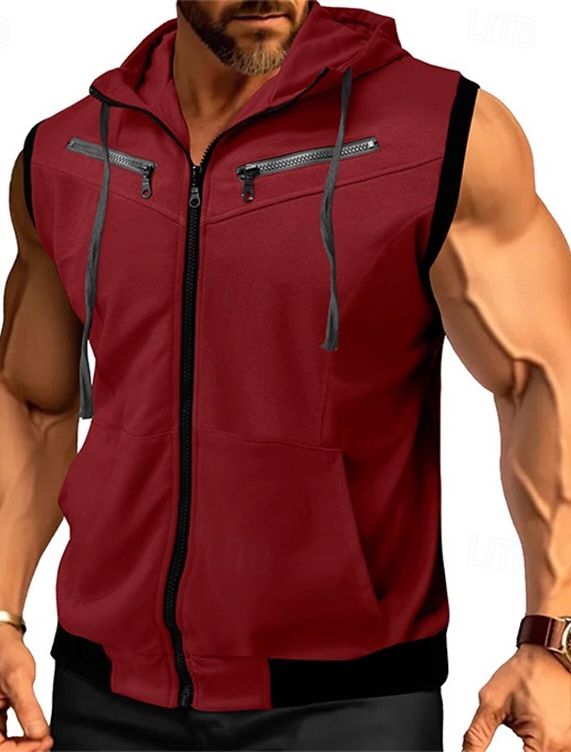 Men's Hoodie Full Zip Black Wine Red Navy Blue Purple Hooded Color