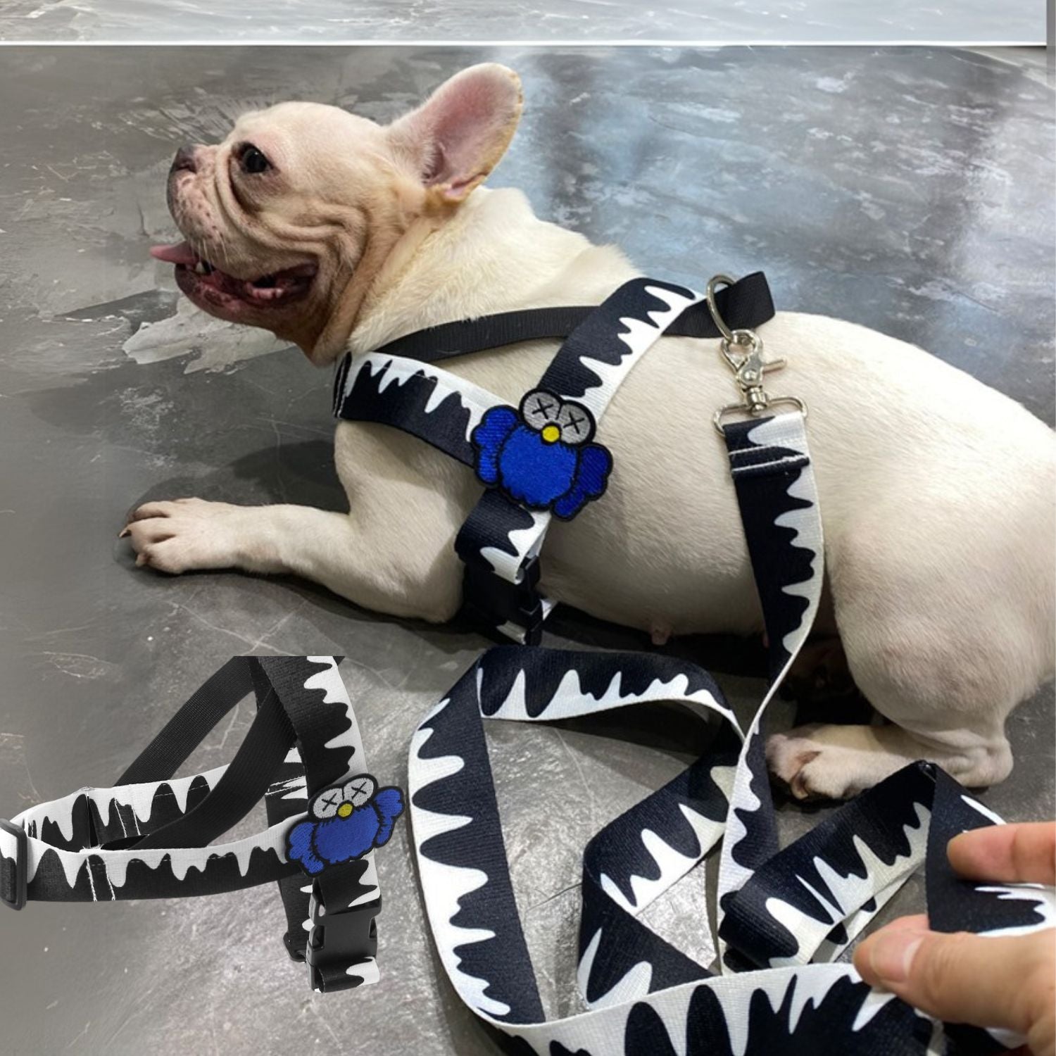 Fit Frenchie Harness With Secure Buckles Pet Gear | Vet-recommended