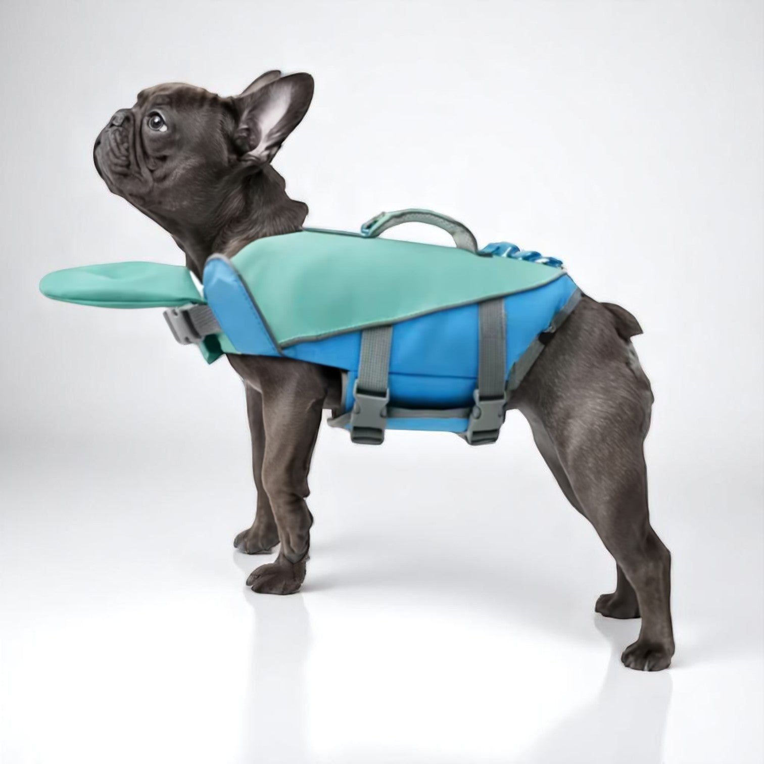 Comfortable Frenchie Lifesaver Jacket – High-visibility Floatation Ve...