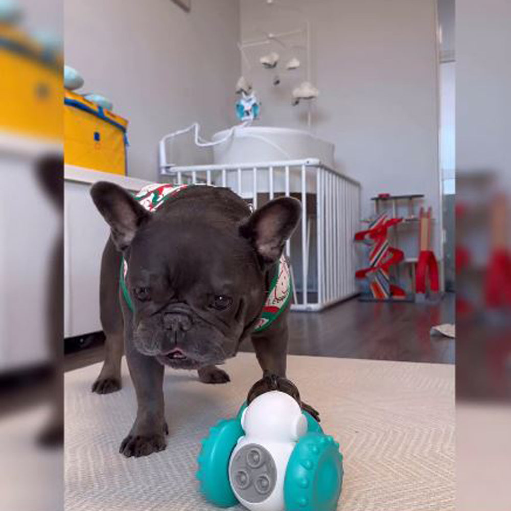 Trendy Comfortable Furbuddy Interactive Treat Tumbler for Casual Outings