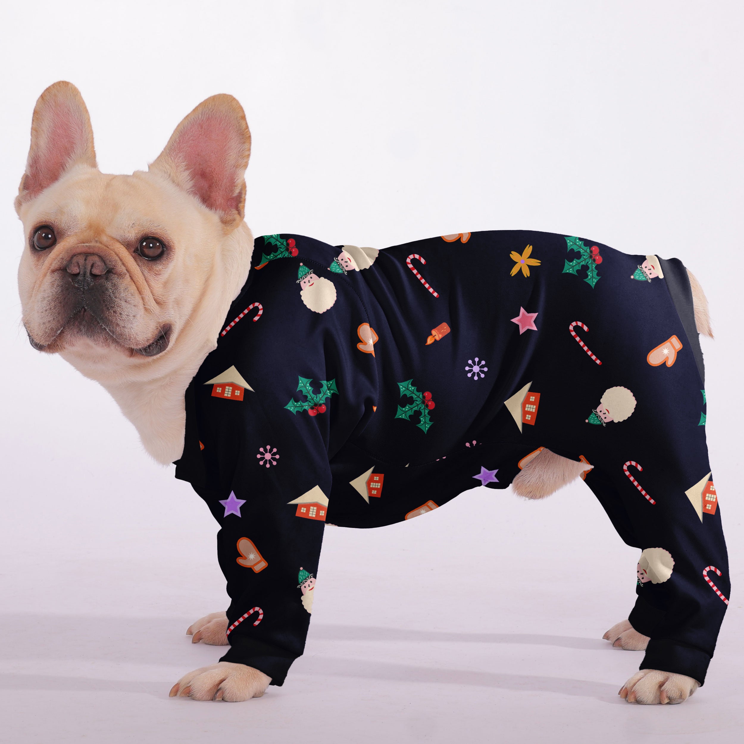 - Breed-specific Frenchie Pajama For Frenchie Pups | Vet-recommended