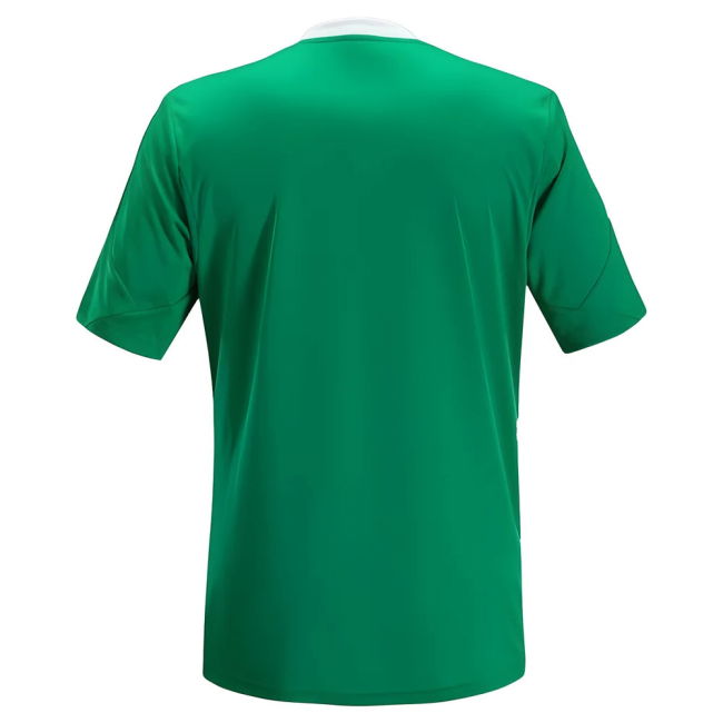 Saint Etienne 2013-14 Home Shirt (M) (Excellent)